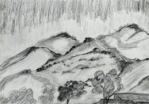 <br>WACD20/24 - Jonathon Malgil</br><br>- 30 X 42</br>