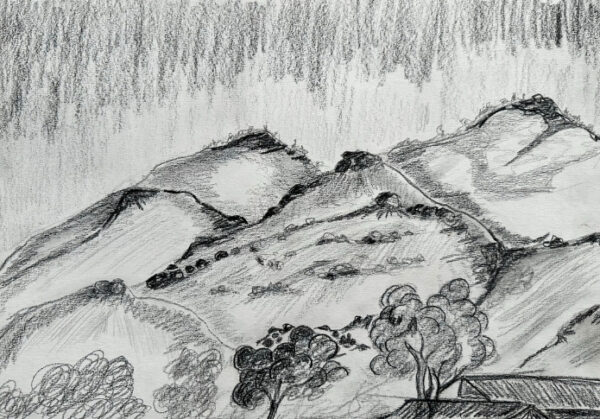<br>WACD20/24 - Jonathon Malgil</br><br>- 30 X 42</br>