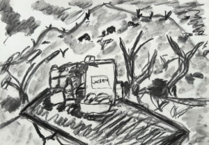 <br>WACD26/24 - Peter Thomas</br><br>- 30 X 42</br>