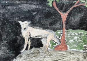 <br>WACD23/24 - Peter Thomas</br><br>- 30 X 42</br>